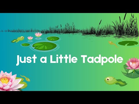 03 Just a Little Tadpole