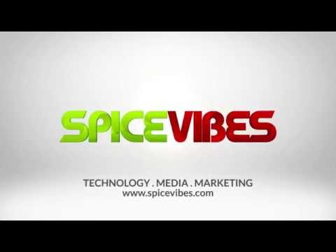 SpiceVibes