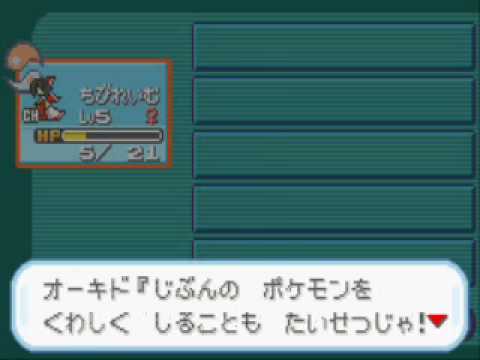 Touhoumon HARD Mode - Gary Fight 1