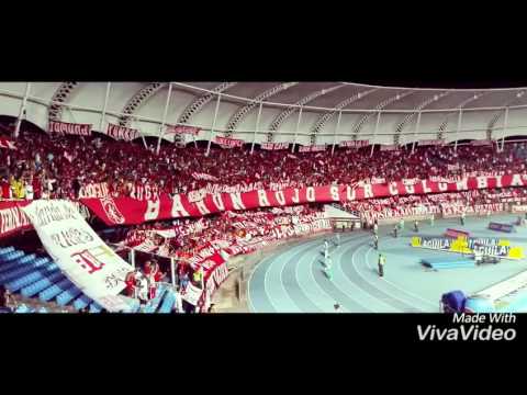 "BRSC AMERICA 2-0 quindio 25/04/2016" Barra: Baron Rojo Sur • Club: América de Cáli