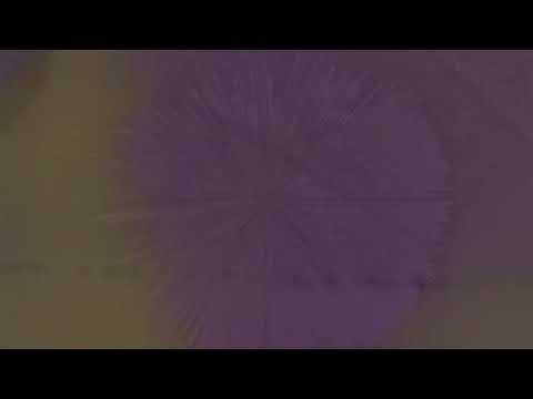 Temple Rat - The Composition Of Air [Siamese Twins Records] (2023)