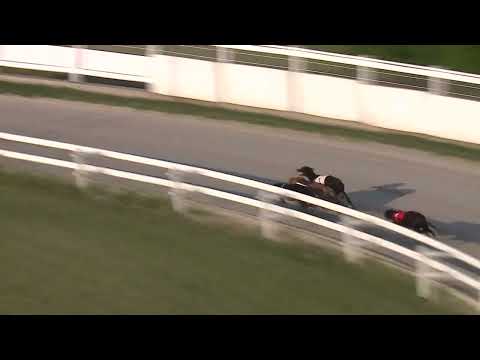 2023.06.02 3. FUTAM - NYÁRI KUPA III. FUTAM - S2