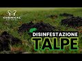 PROBLEMI CON LE TALPE Chemical Pest Control Disinfestazione Infestanti