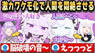 【悶絶】ケモ化にゃんぐこーんの「大好き」連発！お菓子欲しさに人間を煽り倒す姿が可愛すぎｗ【ホロライブ 切り抜き/猫又おかゆ/白上フブキ】