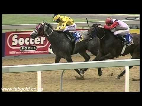 20150311 Greyville Race 6 won by  GO WEST MCGRAW