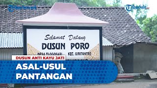 Asal-usul Pantangan di Dusun Poro Wonogiri, Tak Boleh Pakai Kayu Jati atau Nekat dan Berujung Sial