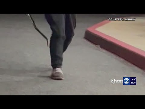 Sword attack victim back in the hospital