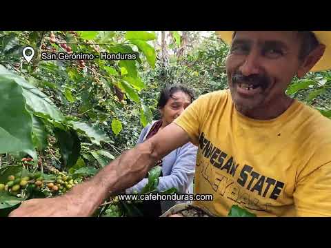 Finca Santa Isabel (San Gerónimo, Honduras) | Go Mundo Maya