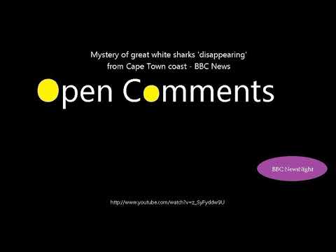 Open Comments - BBC Newsnight - Mystery of great white sharks 'disa...