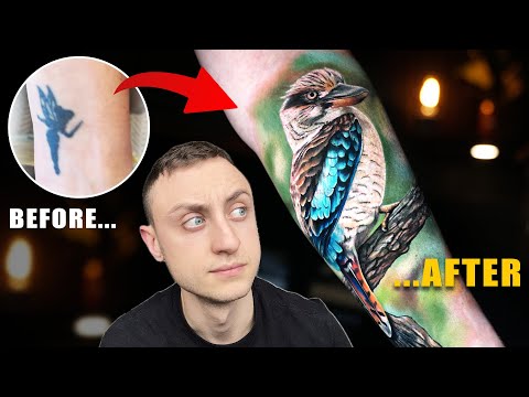 Tattooing a Kookaburra | Old Tattoo Cover-Up