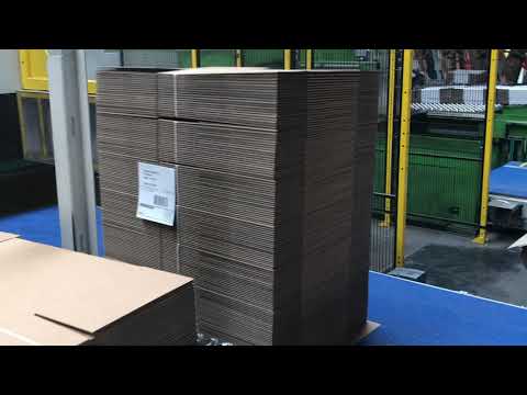 Minda Semi Automatic Palletizer