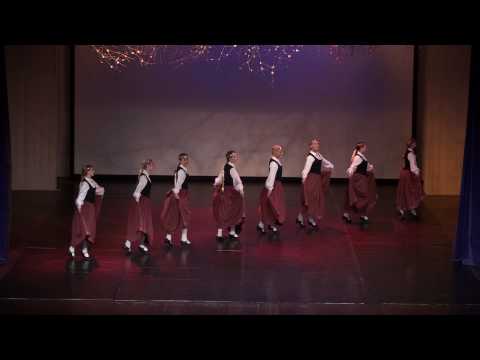 TDA Lielupe studija "Es, meitiņa, kā rozīte"