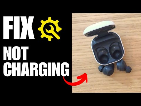 SAMSUNG Galaxy Buds FE Not Charging - How to fix