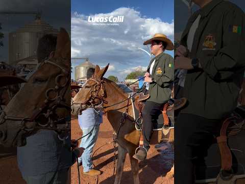 Cavalgada - Montes Claros de Goiás 🐎