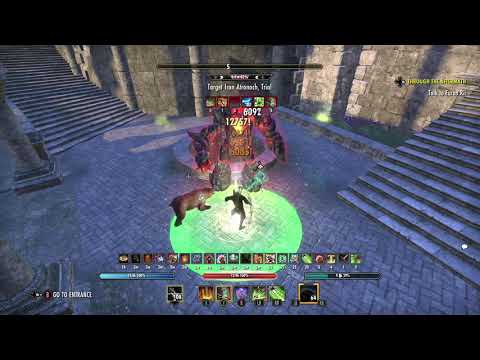 Stamina Warden 79k+ dps - Raid Dummy (Dragonhold) AY/Relequen set up