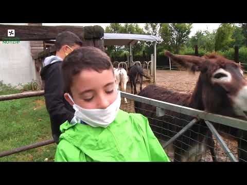 Alla scoperta dei campus delle fattorie didattiche della Lombardia