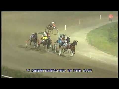 Trotto corse del 25 Febbraio 2020