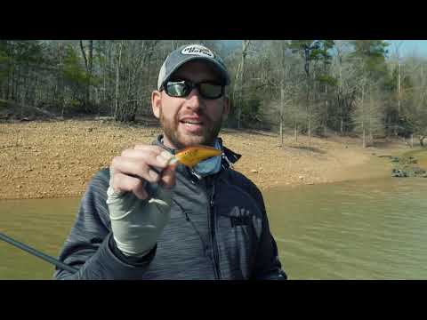 Vídeo Isca Rapala Otts Garage Series OG Slim OGS-6