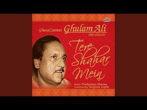 Hum Tere Shahar Mein Aaye Hain