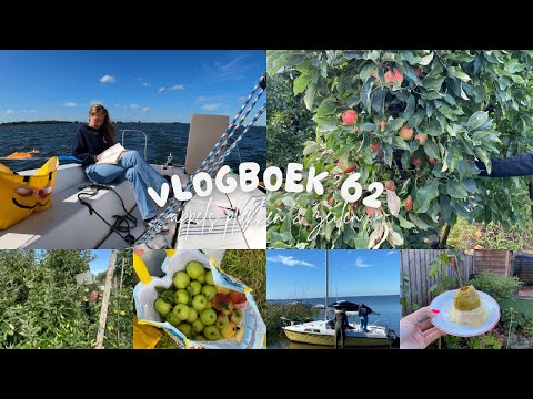 APPELS PLUKKEN & ZEiLEN & NiEUWE DOKTER MARTENS || vlogboek 62 || famderooij