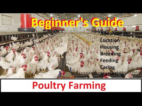 , title : 'How To Start Poultry Farming | Business Starting Guide For Beginners | Complete Guide |'