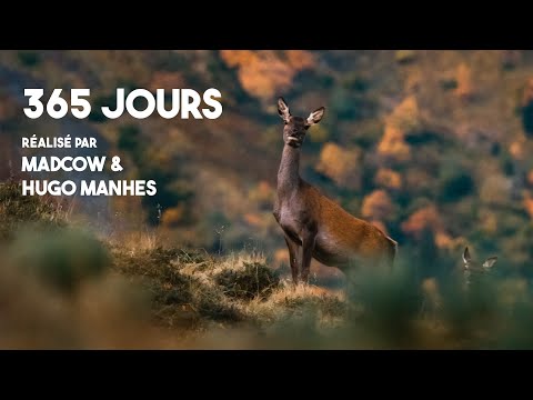 365 JOURS DANS LE CANTAL