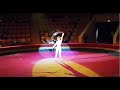 How To Run Away And Join The Circus Beautiful Girls Dangerous Acts MandysTrend