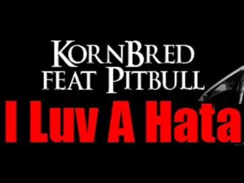 KornBred feat.Pitbull- I Luv A Hata