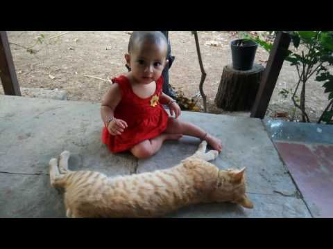 The fierce cat loves 8 month old baby Aarohi