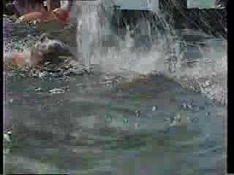 Camp Takodah Chronicle Video Part 1