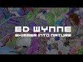 Ed Wynne (Ozric Tentacles) - Shim (from Shimmer into Nature)