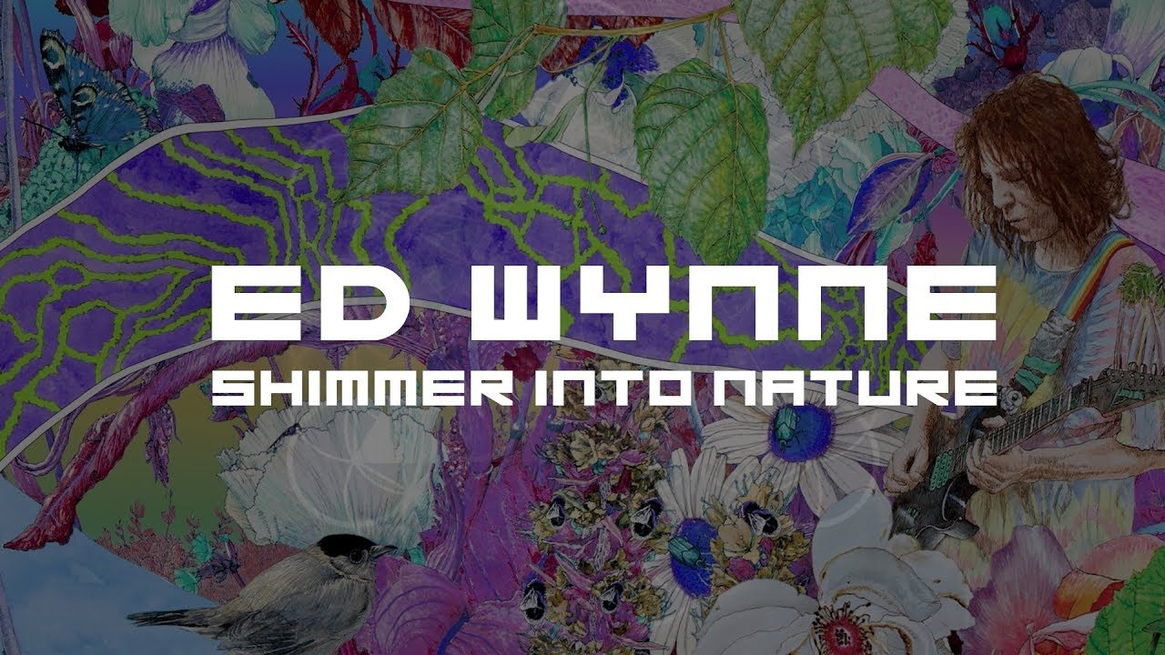 Ed Wynne (Ozric Tentacles) - Shim (from Shimmer into Nature) - YouTube