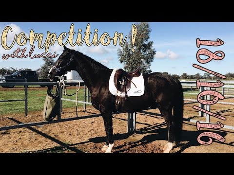 Dressage Competition -18/10/15