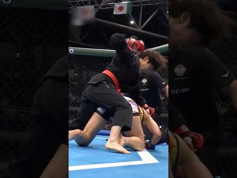 【一瞬の隙を突いて乱れ撃ちKO】柔術 vs 総合格闘技 #JiuJitsu #mma  #異種格闘技