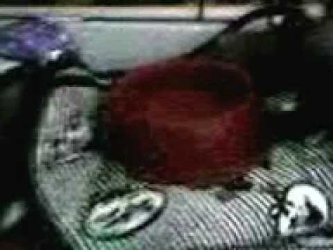 fufu decouve sa cage!!