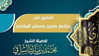 التعليق على مختصر صحيح مسلم  (٢٥) image