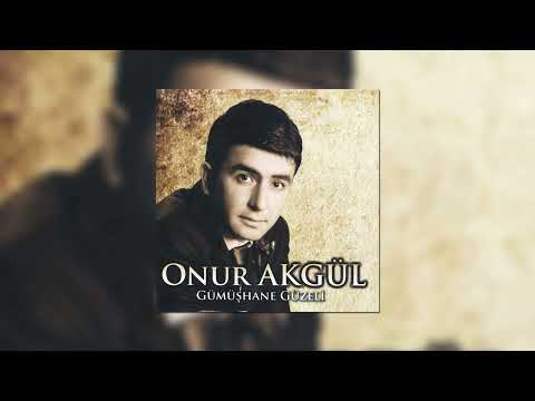 Onur Aygül - Bahçede Erik Dalı