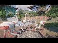 Planet Zoo Greater Flamingo