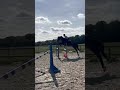 Top cheval amateur