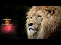 Poradinal Nam Vellalam Van Veethiyil Motivated Lyrics From Warriors Song