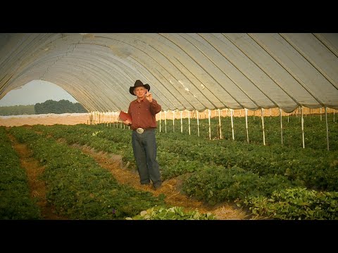 The Mediator - Family Time with Angus Buchan