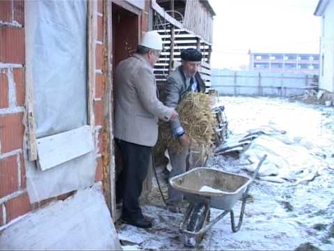 Humor -LECI - 2011 - Leci Tu Vjedh San Me Kolic