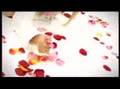 Videoklip Dara Rolins - Štěstí Chce Tebe s textom piesne