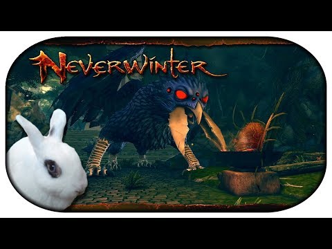 NEVERWINTER: Paladin-LP 🐇 140 - Objektpermanenz? Nie gehört!