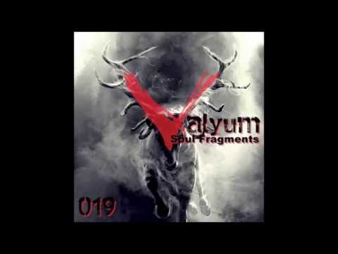 Valyum - Soul Fragments (Rico Buda Repaint) [Deer Seven Records]