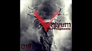 Valyum - Soul Fragments (Rico Buda Repaint) [Deer Seven Records]