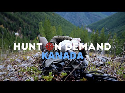 CANADA 🇨🇦 Last part from @Dreispross