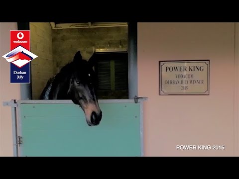 2015 VODACOM DURBAN JULY WINNER POWER KING - WHERE IS HE NOW?