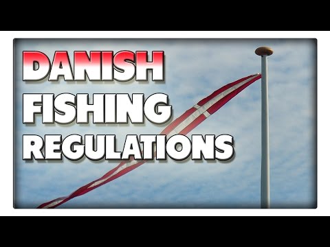 Angeln in Dänemark - Alle wichtigen Infos zu Schongebieten, Mindestmaßen und Lizenzen