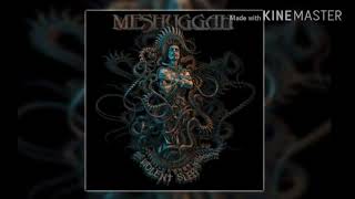 Meshuggah   Our Rage Won't Die subtitulado español